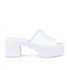 RAYE Plum Heel In White